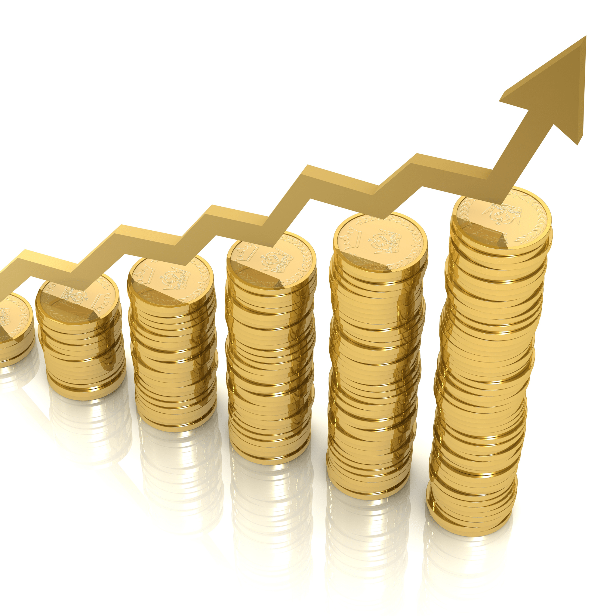 Cleaning Business Software Profitability