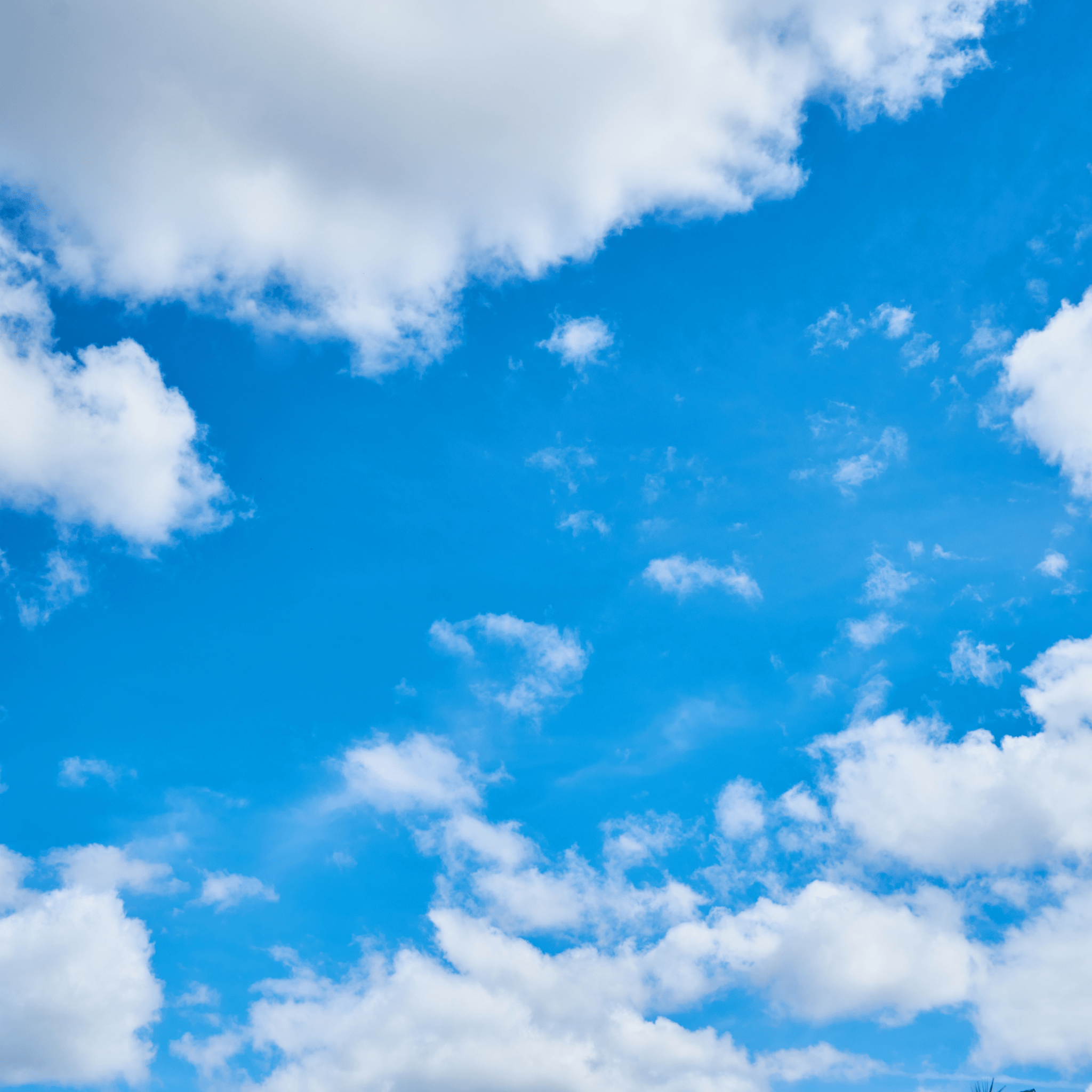 Desktop Cleaning Software