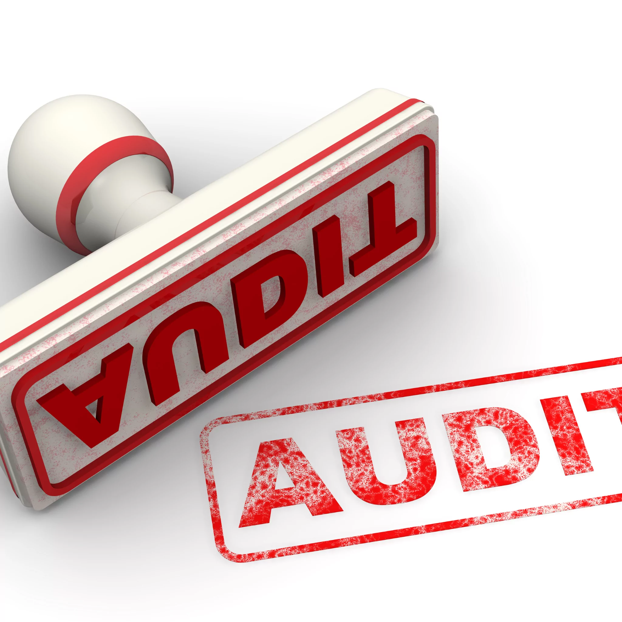 Cleaning Audit Software