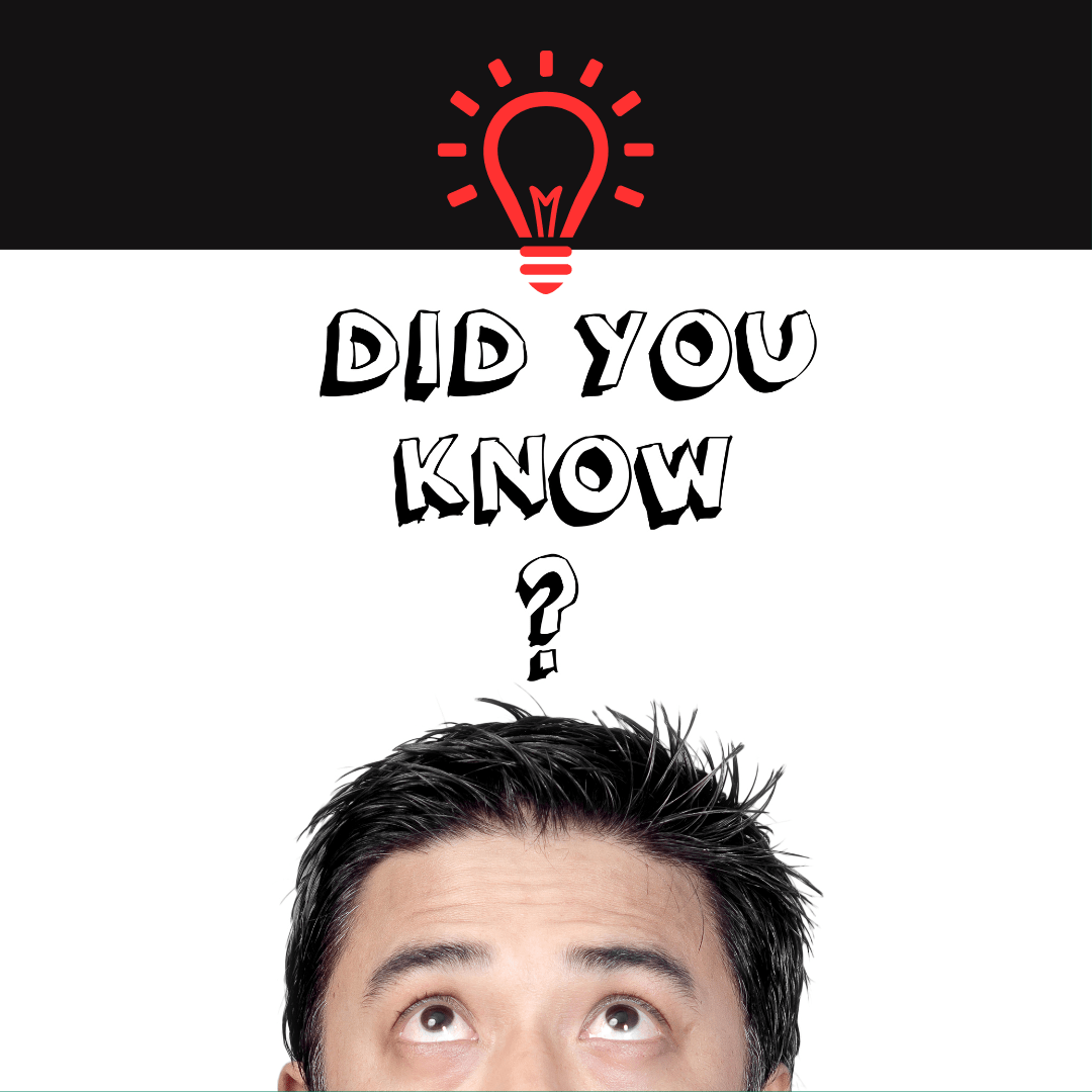 Sustainability for Service Companies Urgent Tips to Know