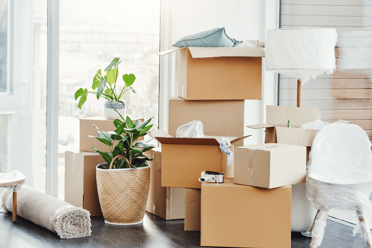Professional furniture transport in Exeter
