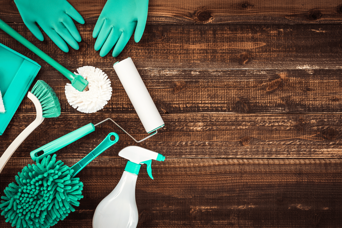 Vetted cleaning team in Highgate
