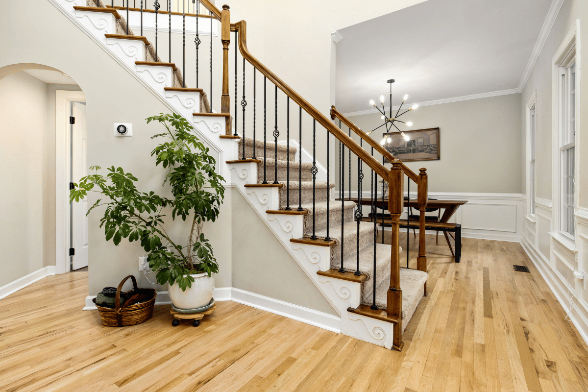 End of Tenancy Cleaning in Bloomsbury