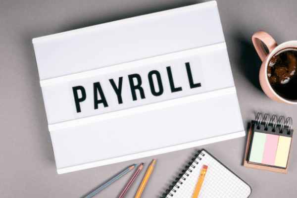 xero-payroll-cleaning-companies