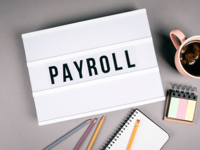 xero-payroll-cleaning-companies